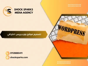 تصميم موقع ووردبريس احترافي