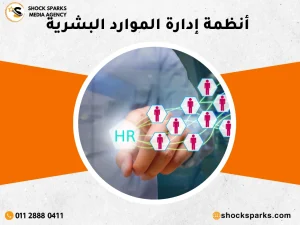 أنظمة إدارة الموارد البشرية