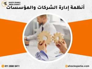 أنظمة إدارة الشركات والمؤسسات