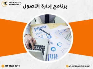 برنامج إدارة الأصول